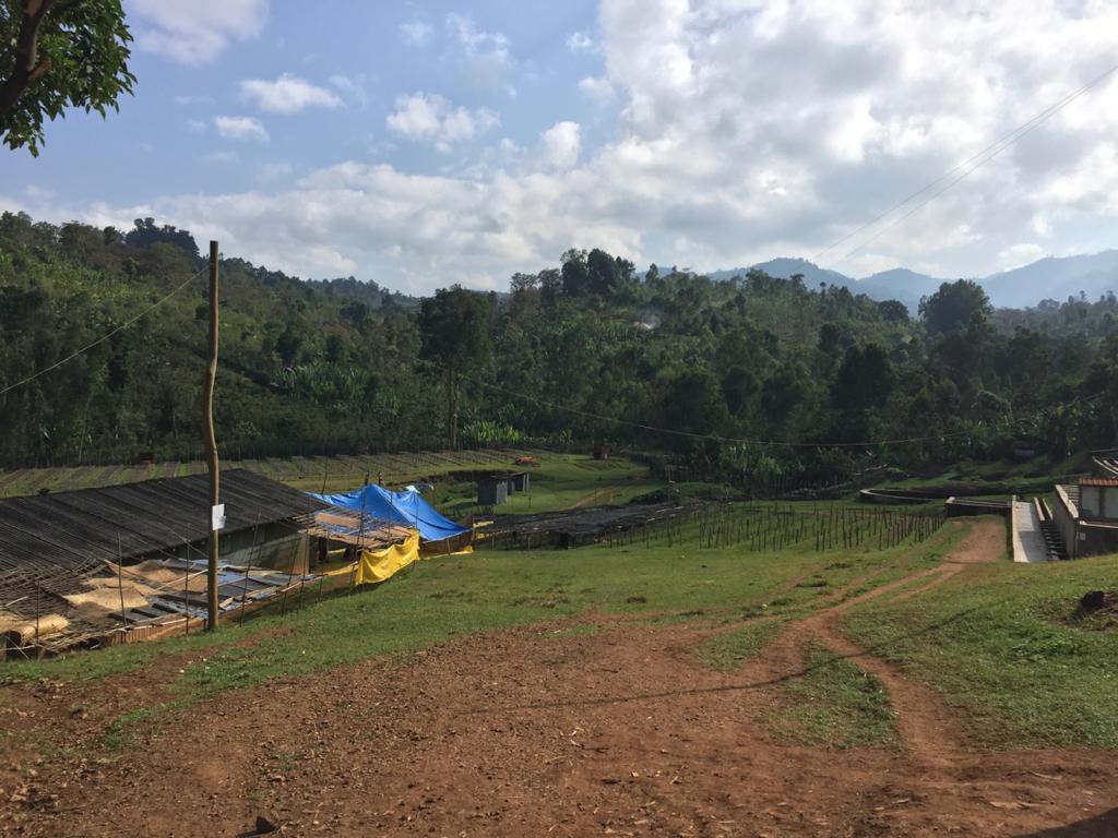 Taramesa, Bio-Kaffee (Äthiopien) Röstkaffee