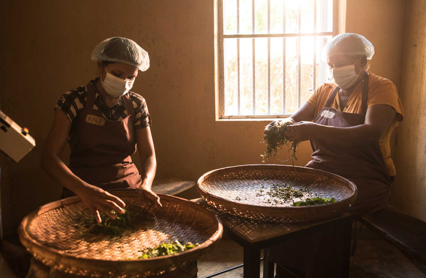 Schwarztee, Ceylon ‚Sinharaja‘, FBOP1