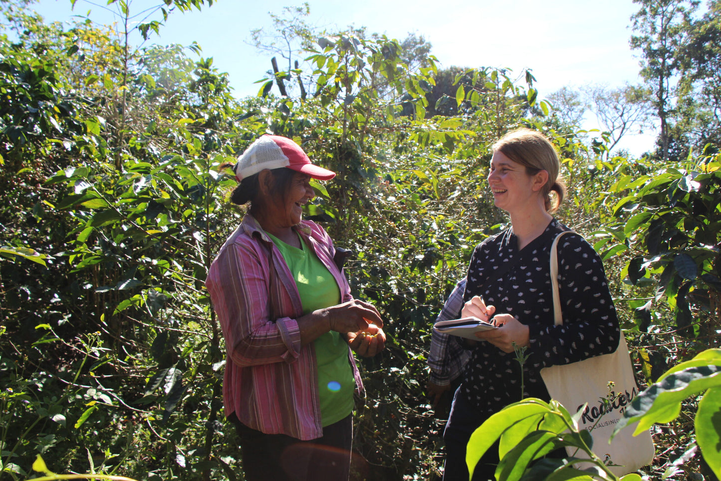 Marcala, Bio-Kaffee (Honduras) Röstkaffee