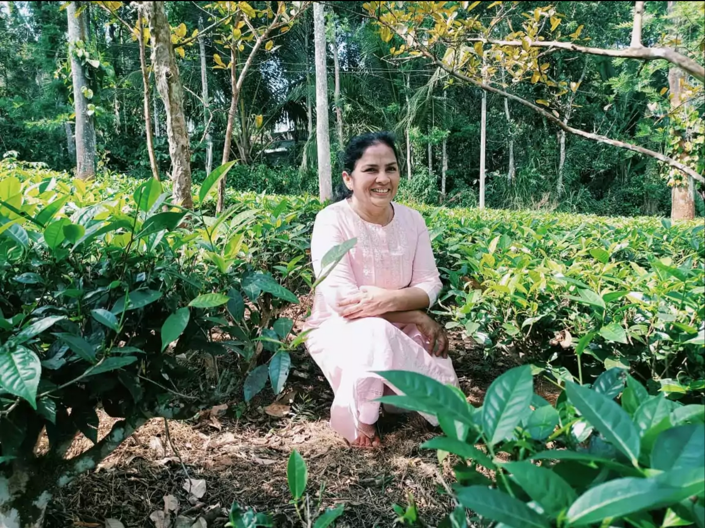 Manufaktur-Grüntee Indien ‚Nilgiri‘