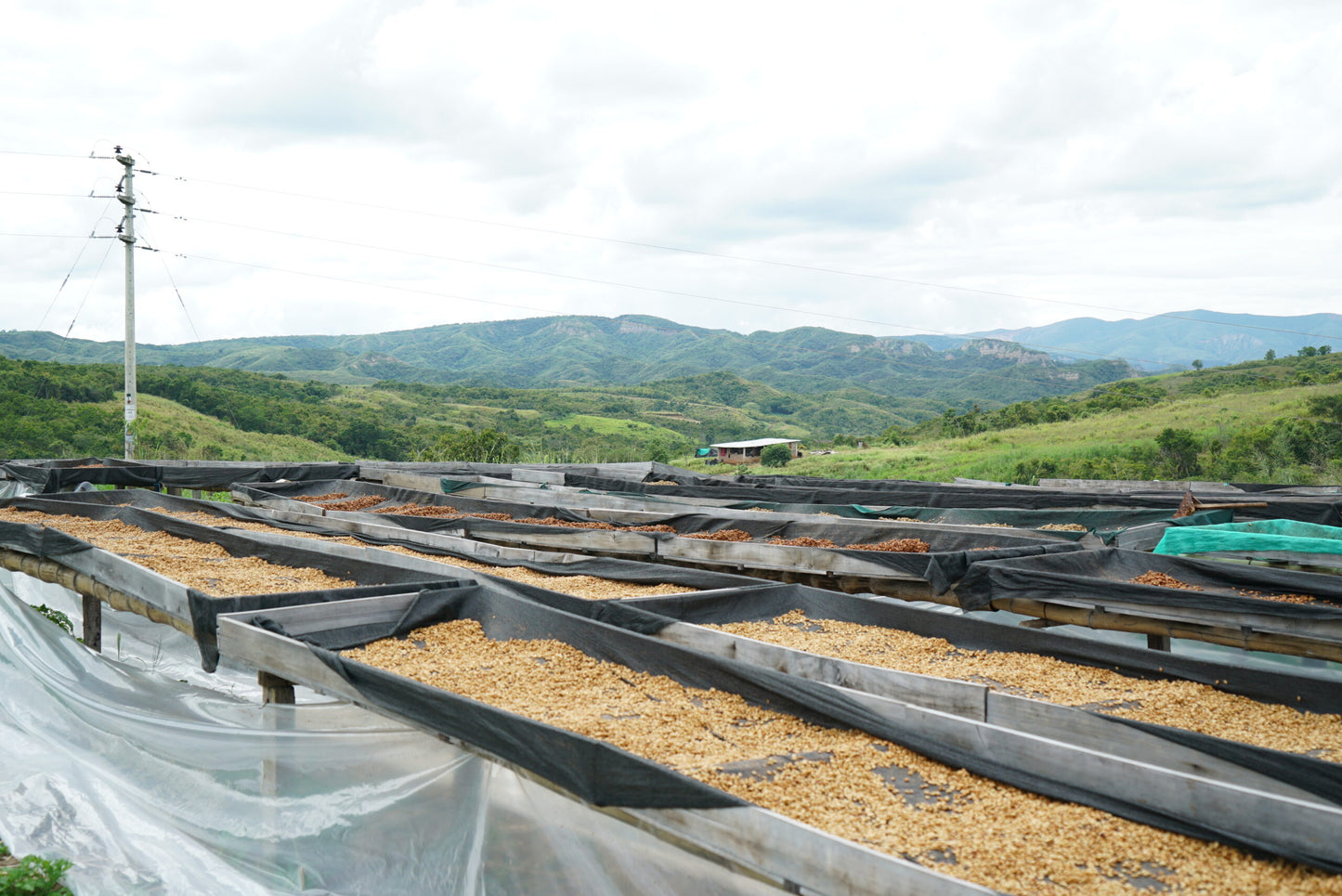 Rutas del Inca, Bio-Kaffee (Peru) Röstkaffee