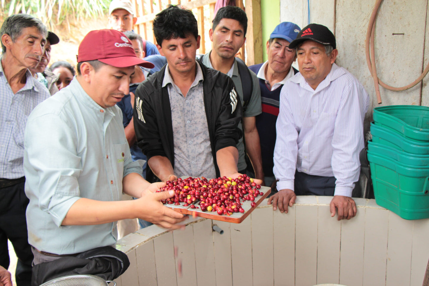 Rutas del Inca, Bio-Kaffee (Peru) Röstkaffee