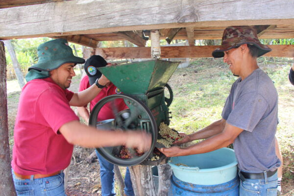 Marcala Miel, Bio-Kaffee (Honduras) Röstkaffee