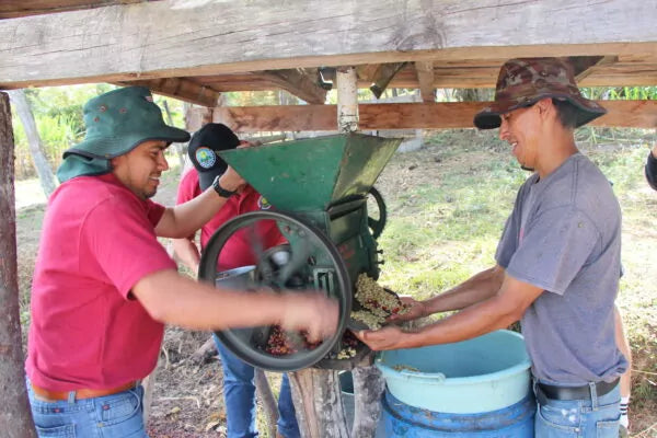 Marcala Miel, Bio-Espresso (Honduras) Röstkaffee