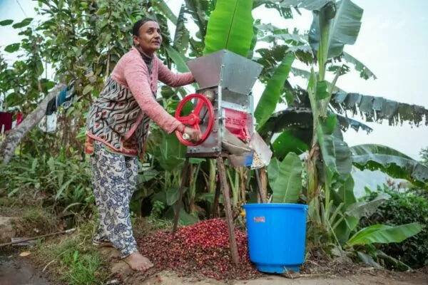 Mithai, Espresso (Nepal) Röstkaffee