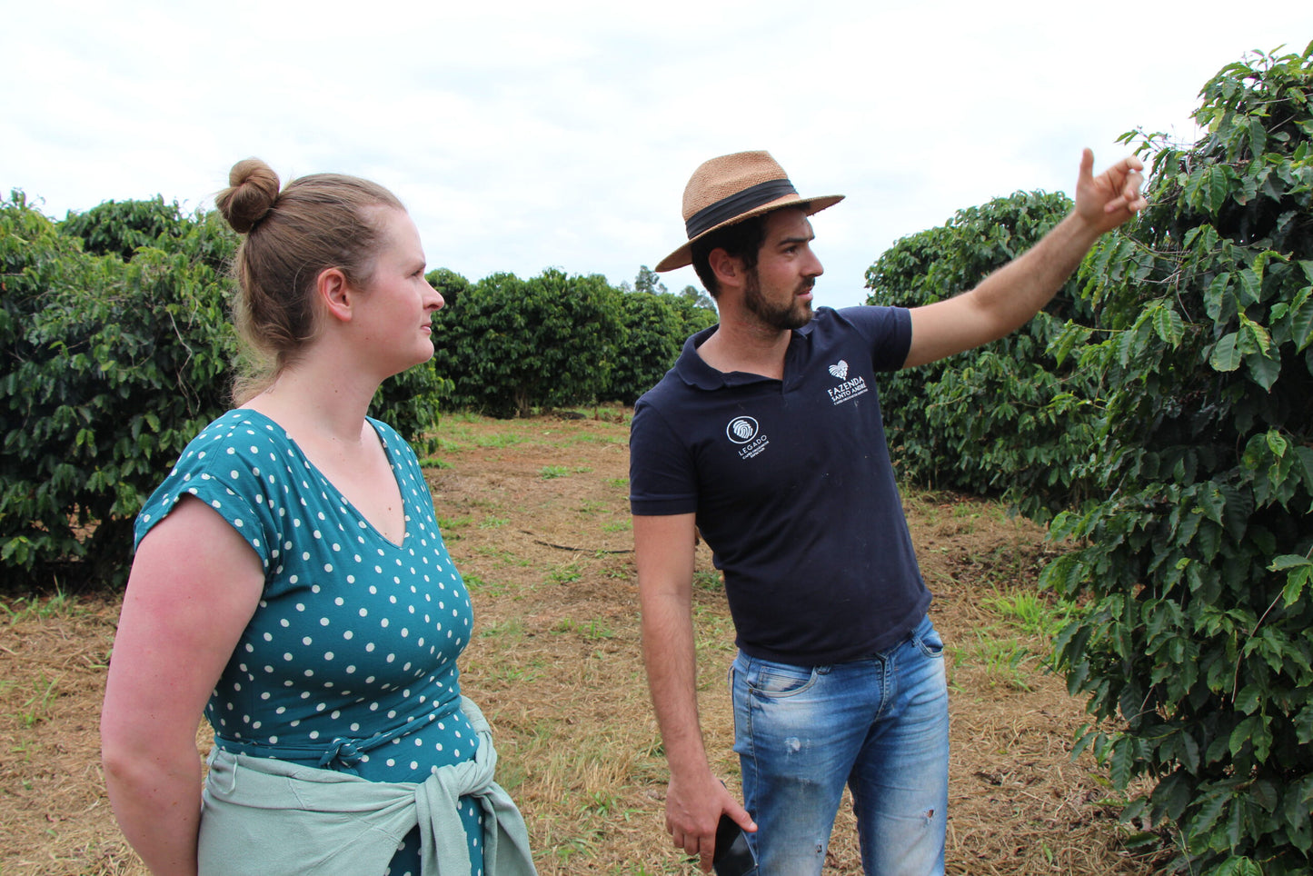 Pedro, Bio-Kaffee (Brasilien) Röstkaffee