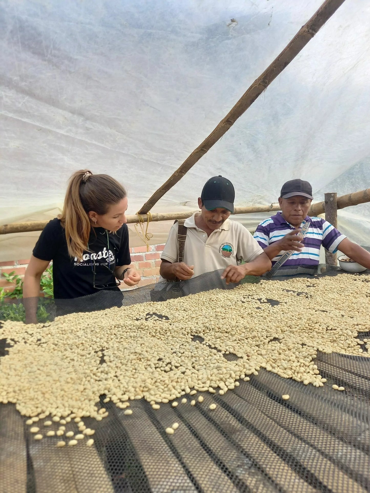 Cosurca Decaf Omniroast (Kolumbien), CO²-entkoffeniert Röstkaffee