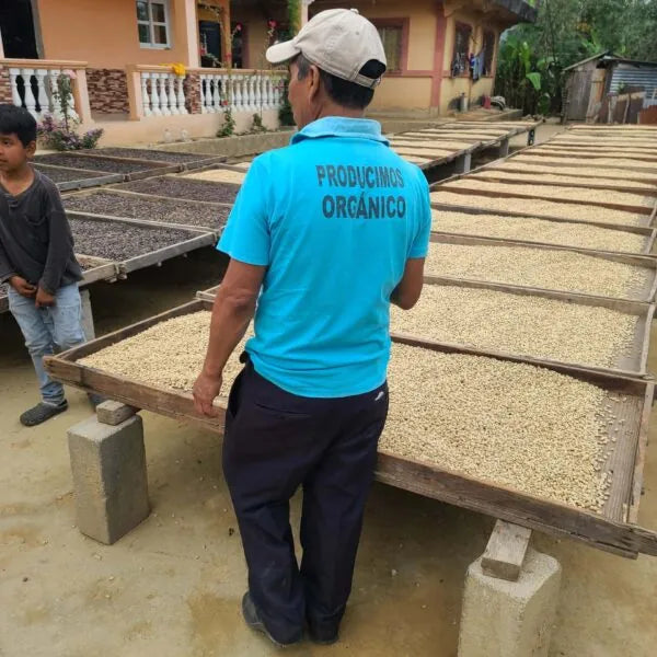 Manos Campesinas, Bio-Espresso (Guatemala) Röstkaffee