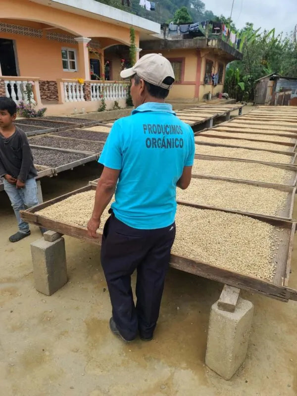 Manos Campesinas, Bio-Kaffee (Guatemala) Röstkaffee