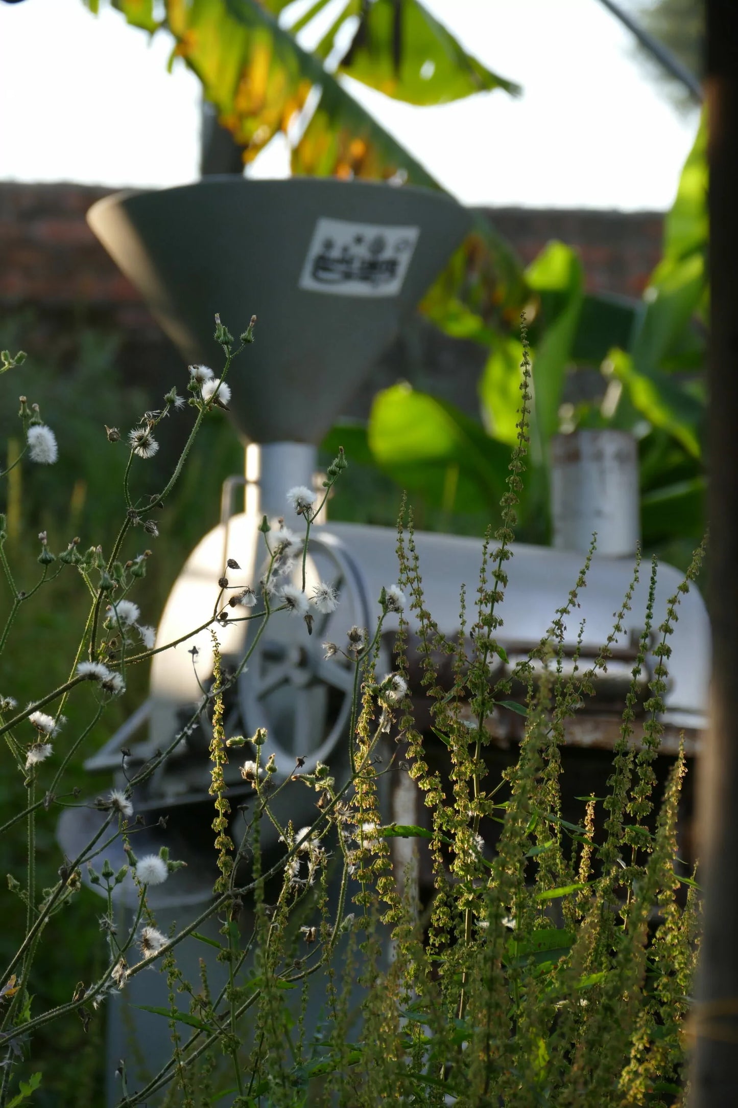 Cosurca Decaf Omniroast (Kolumbien), CO²-entkoffeniert Röstkaffee