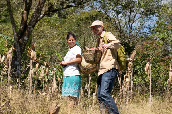 Las Diosas, Bio-Espresso (Nicaragua) Röstkaffee