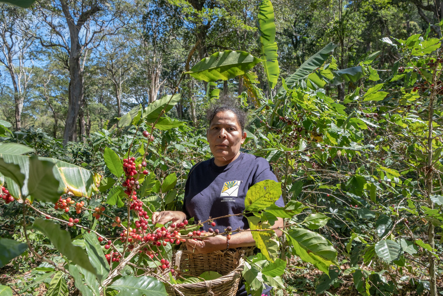 Las Diosas, Bio-Kaffee (Nicaragua) Röstkaffee