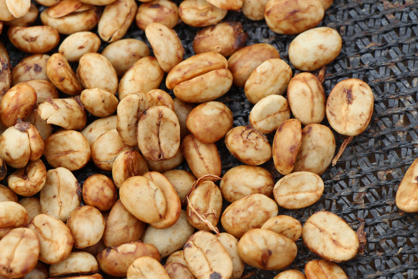 Rutas del Inca, Bio-Kaffee (Peru) Röstkaffee