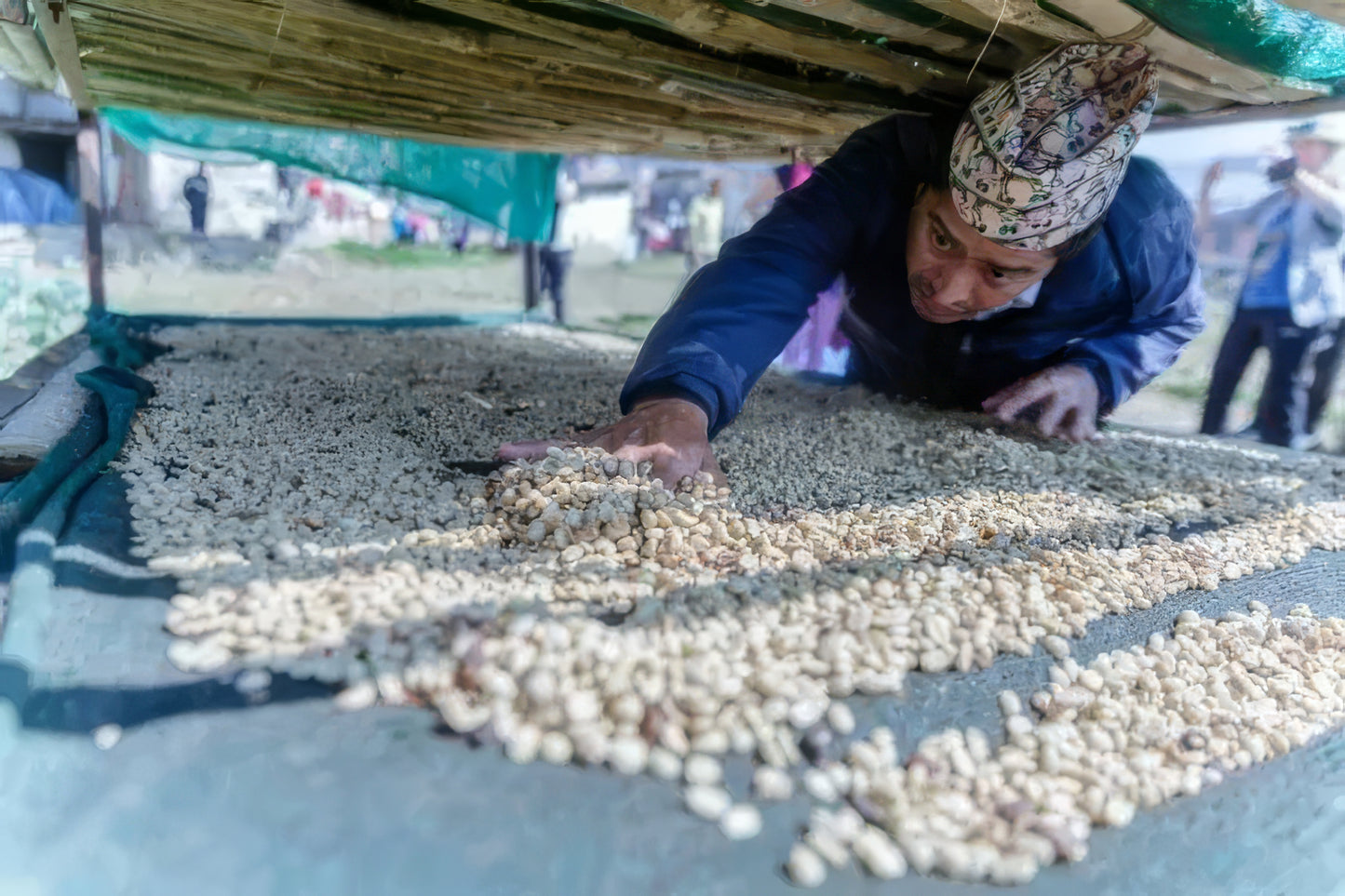 Mithai, Kaffee (Nepal) Röstkaffee