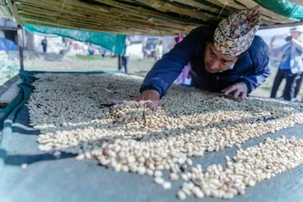 Mithai, Espresso (Nepal) Röstkaffee